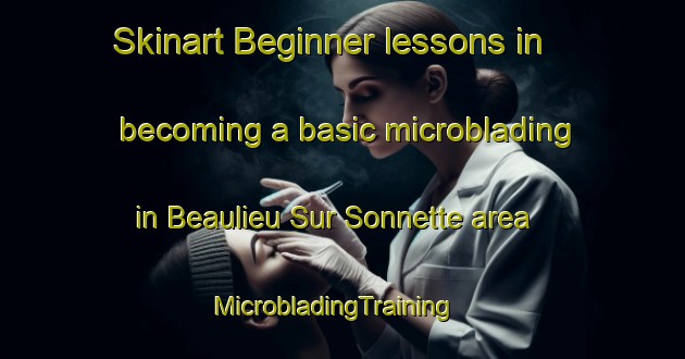Skinart Beginner lessons in becoming a basic microblading in Beaulieu Sur Sonnette area | MicrobladingTraining | MicrobladingClasses | SkinartTraining-France