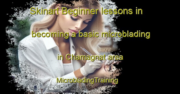 Skinart Beginner lessons in becoming a basic microblading in Chamagnat area | MicrobladingTraining | MicrobladingClasses | SkinartTraining-France