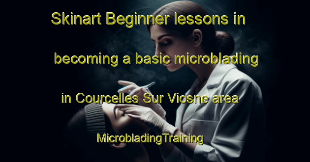 Skinart Beginner lessons in becoming a basic microblading in Courcelles Sur Viosne area | MicrobladingTraining | MicrobladingClasses | SkinartTraining-France