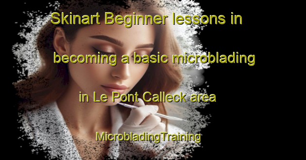 Skinart Beginner lessons in becoming a basic microblading in Le Pont Calleck area | MicrobladingTraining | MicrobladingClasses | SkinartTraining-France