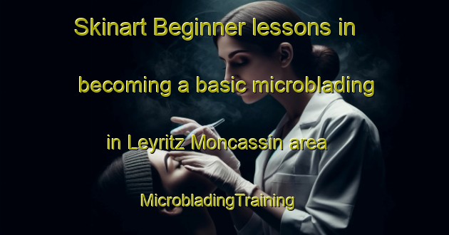 Skinart Beginner lessons in becoming a basic microblading in Leyritz Moncassin area | MicrobladingTraining | MicrobladingClasses | SkinartTraining-France