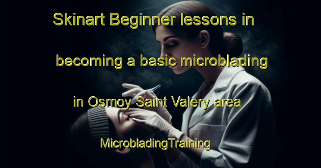 Skinart Beginner lessons in becoming a basic microblading in Osmoy Saint Valery area | MicrobladingTraining | MicrobladingClasses | SkinartTraining-France