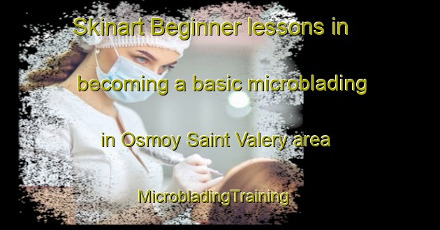 Skinart Beginner lessons in becoming a basic microblading in Osmoy Saint Valery area | MicrobladingTraining | MicrobladingClasses | SkinartTraining-France