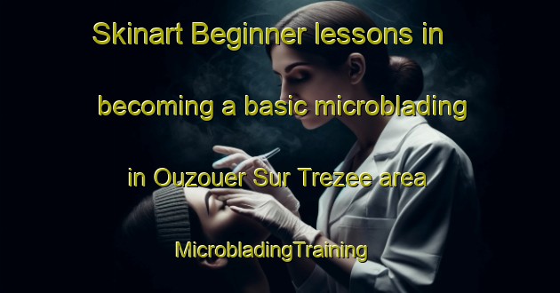 Skinart Beginner lessons in becoming a basic microblading in Ouzouer Sur Trezee area | MicrobladingTraining | MicrobladingClasses | SkinartTraining-France