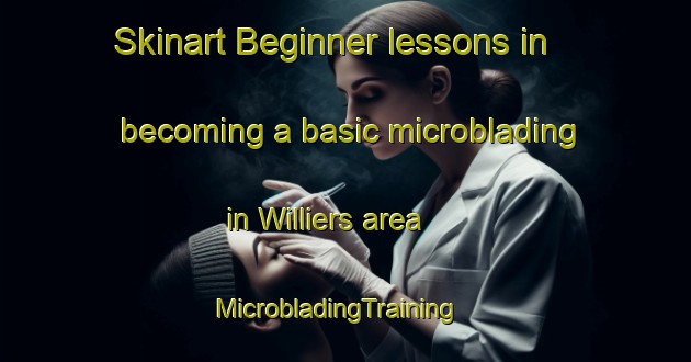 Skinart Beginner lessons in becoming a basic microblading in Williers area | MicrobladingTraining | MicrobladingClasses | SkinartTraining-France