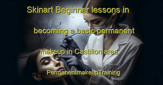 Skinart Beginner lessons in becoming a basic permanent makeup in Castillon area | PermanentmakeupTraining | PermanentmakeupClasses | SkinartTraining-France