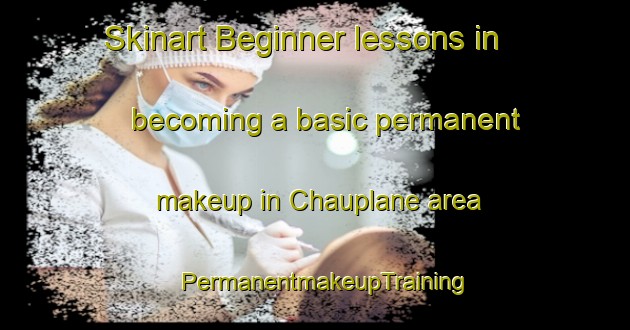 Skinart Beginner lessons in becoming a basic permanent makeup in Chauplane area | PermanentmakeupTraining | PermanentmakeupClasses | SkinartTraining-France