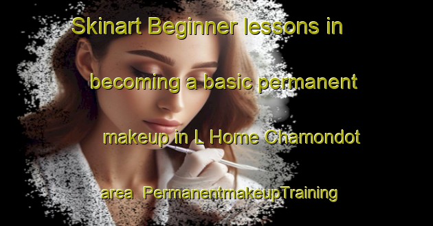 Skinart Beginner lessons in becoming a basic permanent makeup in L Home Chamondot area | PermanentmakeupTraining | PermanentmakeupClasses | SkinartTraining-France
