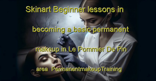 Skinart Beginner lessons in becoming a basic permanent makeup in Le Pommier De Pin area | PermanentmakeupTraining | PermanentmakeupClasses | SkinartTraining-France