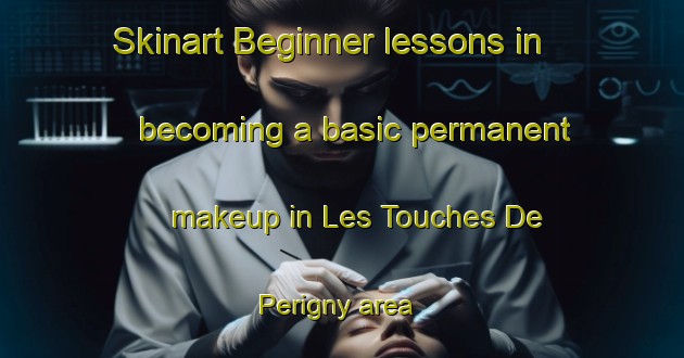 Skinart Beginner lessons in becoming a basic permanent makeup in Les Touches De Perigny area | PermanentmakeupTraining | PermanentmakeupClasses | SkinartTraining-France