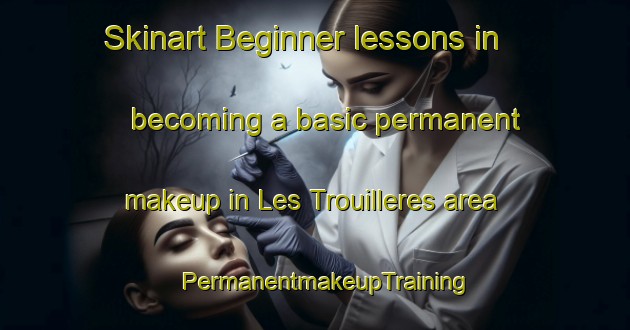 Skinart Beginner lessons in becoming a basic permanent makeup in Les Trouilleres area | PermanentmakeupTraining | PermanentmakeupClasses | SkinartTraining-France
