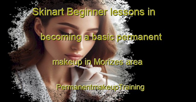 Skinart Beginner lessons in becoming a basic permanent makeup in Morizes area | PermanentmakeupTraining | PermanentmakeupClasses | SkinartTraining-France