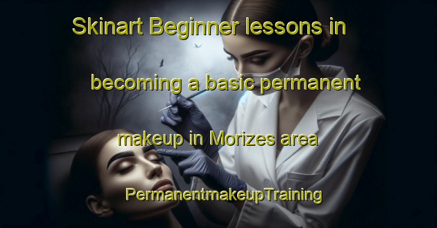 Skinart Beginner lessons in becoming a basic permanent makeup in Morizes area | PermanentmakeupTraining | PermanentmakeupClasses | SkinartTraining-France