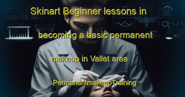 Skinart Beginner lessons in becoming a basic permanent makeup in Vallet area | PermanentmakeupTraining | PermanentmakeupClasses | SkinartTraining-France