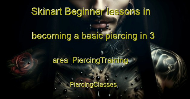 Skinart Beginner lessons in becoming a basic piercing in 3 area | PiercingTraining | PiercingClasses | SkinartTraining-France