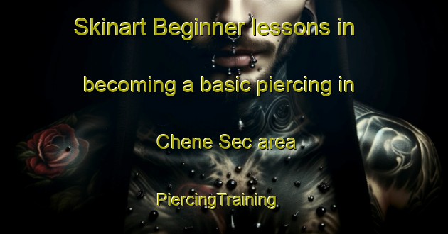 Skinart Beginner lessons in becoming a basic piercing in Chene Sec area | PiercingTraining | PiercingClasses | SkinartTraining-France