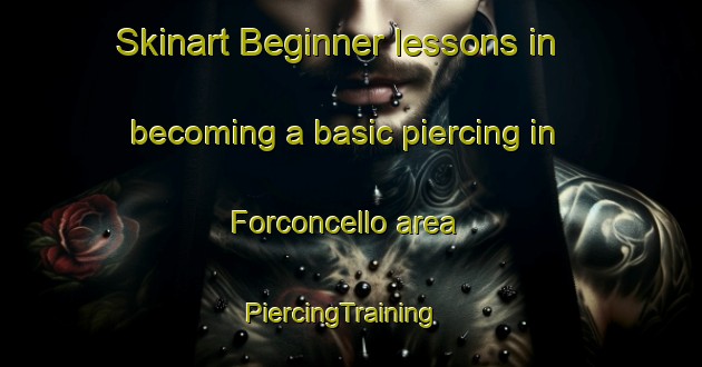 Skinart Beginner lessons in becoming a basic piercing in Forconcello area | PiercingTraining | PiercingClasses | SkinartTraining-France