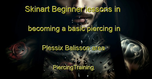 Skinart Beginner lessons in becoming a basic piercing in Plessix Balisson area | PiercingTraining | PiercingClasses | SkinartTraining-France