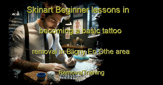 Skinart Beginner lessons in becoming a basic tattoo removal in Bligny En Othe area | RemovalTraining | RemovalClasses | SkinartTraining-France
