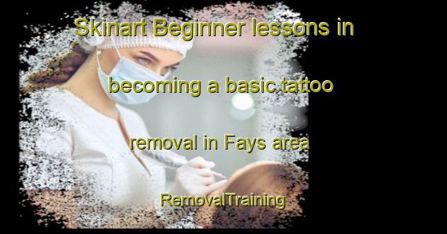 Skinart Beginner lessons in becoming a basic tattoo removal in Fays area | RemovalTraining | RemovalClasses | SkinartTraining-France