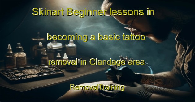 Skinart Beginner lessons in becoming a basic tattoo removal in Glandage area | RemovalTraining | RemovalClasses | SkinartTraining-France