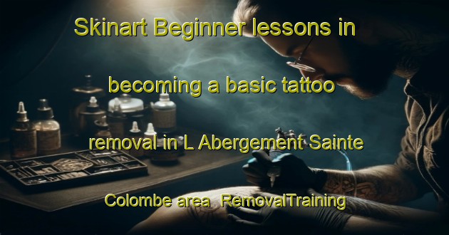 Skinart Beginner lessons in becoming a basic tattoo removal in L Abergement Sainte Colombe area | RemovalTraining | RemovalClasses | SkinartTraining-France