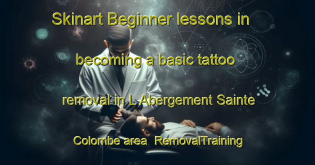 Skinart Beginner lessons in becoming a basic tattoo removal in L Abergement Sainte Colombe area | RemovalTraining | RemovalClasses | SkinartTraining-France