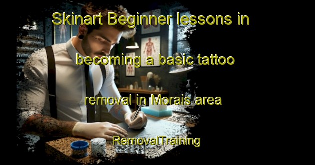 Skinart Beginner lessons in becoming a basic tattoo removal in Morais area | RemovalTraining | RemovalClasses | SkinartTraining-France