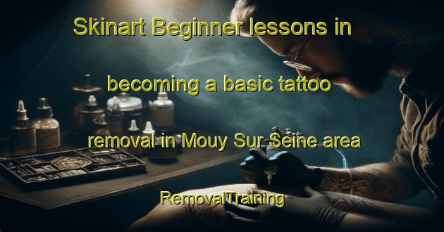 Skinart Beginner lessons in becoming a basic tattoo removal in Mouy Sur Seine area | RemovalTraining | RemovalClasses | SkinartTraining-France