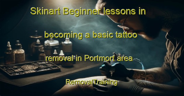 Skinart Beginner lessons in becoming a basic tattoo removal in Portmort area | RemovalTraining | RemovalClasses | SkinartTraining-France