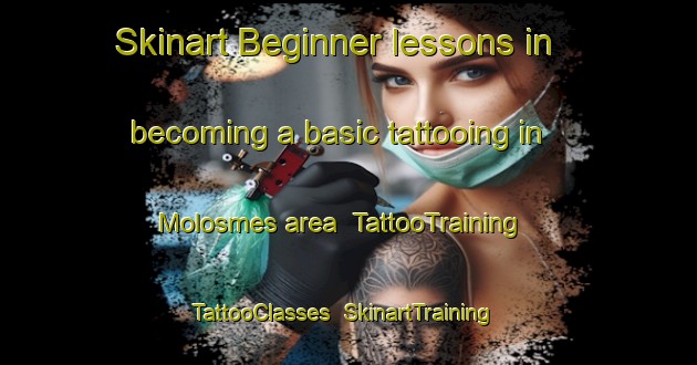 Skinart Beginner lessons in becoming a basic tattooing in Molosmes area | TattooTraining | TattooClasses | SkinartTraining-France