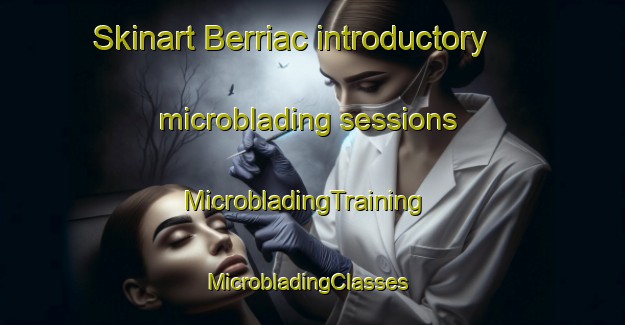 Skinart Berriac introductory microblading sessions | MicrobladingTraining | MicrobladingClasses | SkinartTraining-France