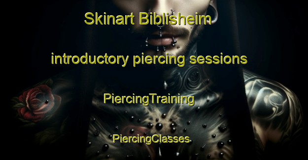 Skinart Biblisheim introductory piercing sessions | PiercingTraining | PiercingClasses | SkinartTraining-France
