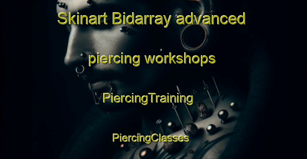 Skinart Bidarray advanced piercing workshops | PiercingTraining | PiercingClasses | SkinartTraining-France