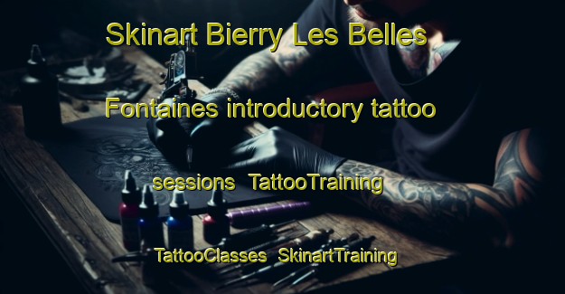 Skinart Bierry Les Belles Fontaines introductory tattoo sessions | TattooTraining | TattooClasses | SkinartTraining-France