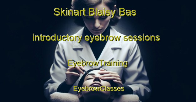 Skinart Blaisy Bas introductory eyebrow sessions | EyebrowTraining | EyebrowClasses | SkinartTraining-France