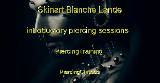 Skinart Blanche Lande introductory piercing sessions | #PiercingTraining #PiercingClasses #SkinartTraining-France