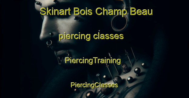 Skinart Bois Champ Beau piercing classes | #PiercingTraining #PiercingClasses #SkinartTraining-France