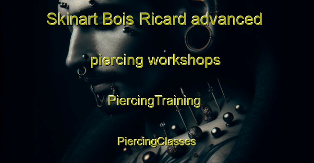 Skinart Bois Ricard advanced piercing workshops | #PiercingTraining #PiercingClasses #SkinartTraining-France