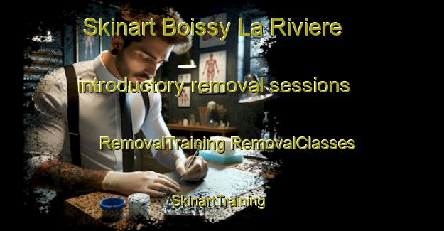 Skinart Boissy La Riviere introductory removal sessions | #RemovalTraining #RemovalClasses #SkinartTraining-France