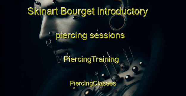 Skinart Bourget introductory piercing sessions | #PiercingTraining #PiercingClasses #SkinartTraining-France