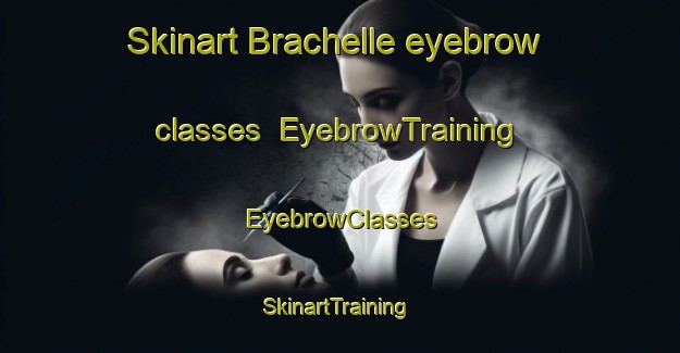 Skinart Brachelle eyebrow classes | EyebrowTraining | EyebrowClasses | SkinartTraining-France