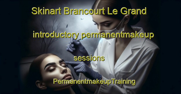 Skinart Brancourt Le Grand introductory permanentmakeup sessions | #PermanentmakeupTraining #PermanentmakeupClasses #SkinartTraining-France