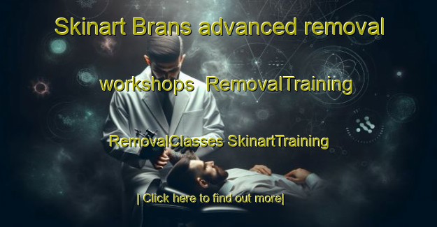 Skinart Brans advanced removal workshops | #RemovalTraining #RemovalClasses #SkinartTraining-France