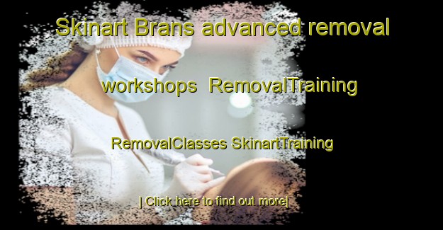 Skinart Brans advanced removal workshops | #RemovalTraining #RemovalClasses #SkinartTraining-France