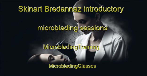 Skinart Bredannaz introductory microblading sessions | MicrobladingTraining | MicrobladingClasses | SkinartTraining-France