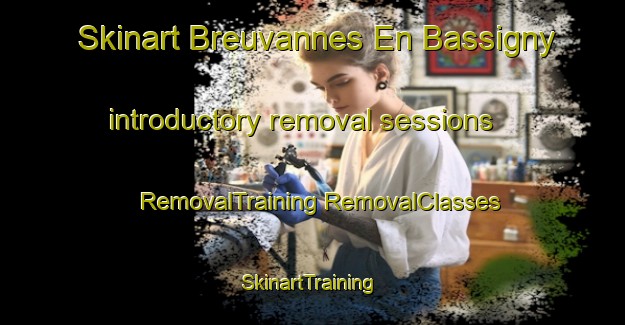 Skinart Breuvannes En Bassigny introductory removal sessions | #RemovalTraining #RemovalClasses #SkinartTraining-France