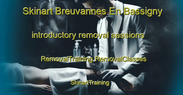 Skinart Breuvannes En Bassigny introductory removal sessions | #RemovalTraining #RemovalClasses #SkinartTraining-France