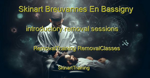 Skinart Breuvannes En Bassigny introductory removal sessions | #RemovalTraining #RemovalClasses #SkinartTraining-France