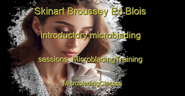 Skinart Broussey En Blois introductory microblading sessions | #MicrobladingTraining #MicrobladingClasses #SkinartTraining-France